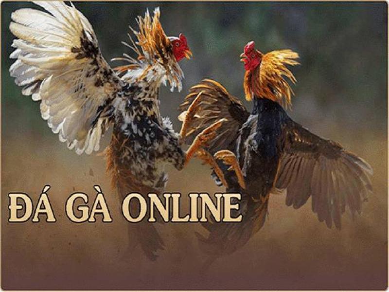 Review đá gà BJ88 – Bí kíp chơi đá gà trực tuyến từ cao thủ