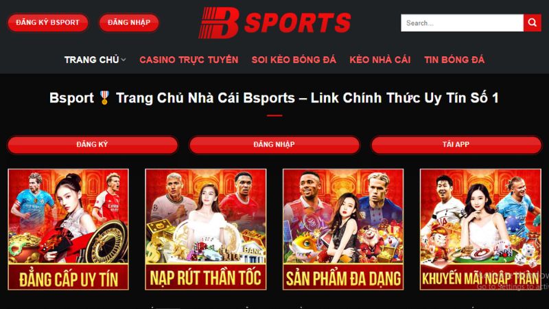 Bsport | Trang giải trí thể thao hàng đầu tại Việt Nam