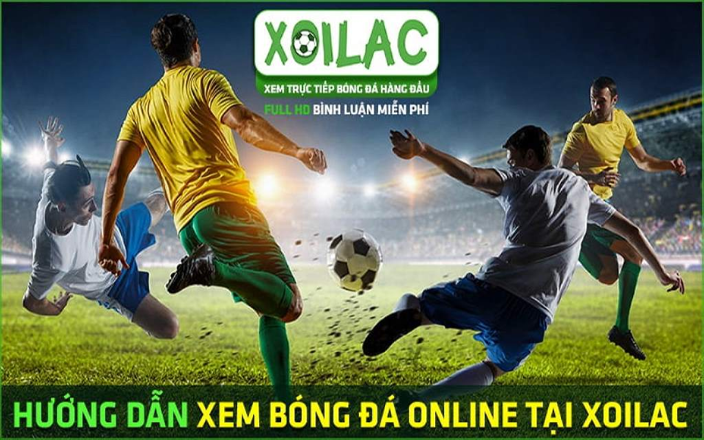Xoilac-tv.in – Kênh xem bóng đá trực tuyến Full HD miễn phí