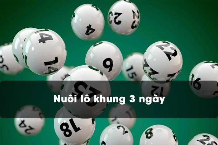 Những Lưu Ý Khi Sử Dụng Đầu Đuôi Khung 3 Ngày