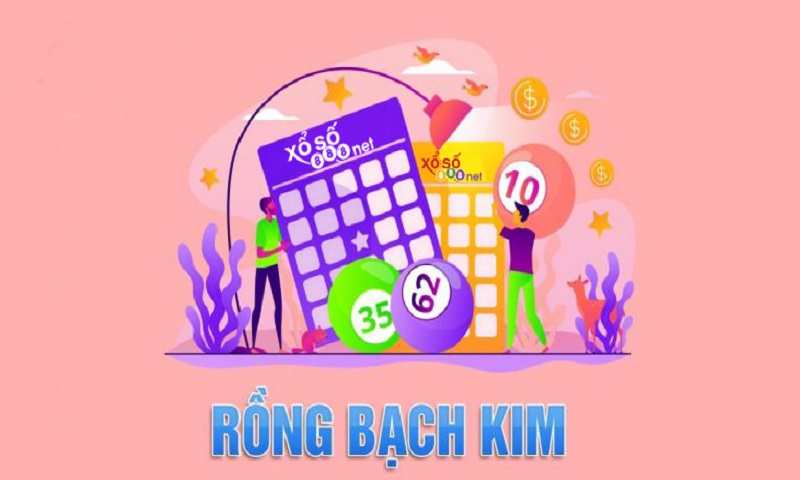 Soi Cầu Rồng Bạch Kim Tại Soicau247 – Bí Quyết Trúng Lớn