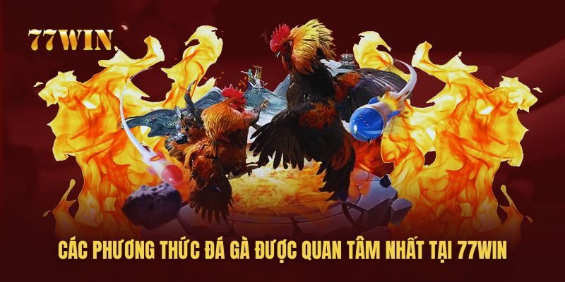 Đá Gà 77win – Trải Nghiệm Cá Cược Đá Gà Hàng Đầu Châu Á