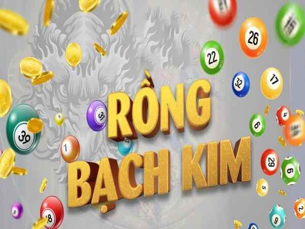 Sức hút của Rồng Bạch Kim chính xác 100 trong thế giới lô đề